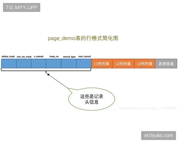 弗拉霍维奇效率波动原因分析